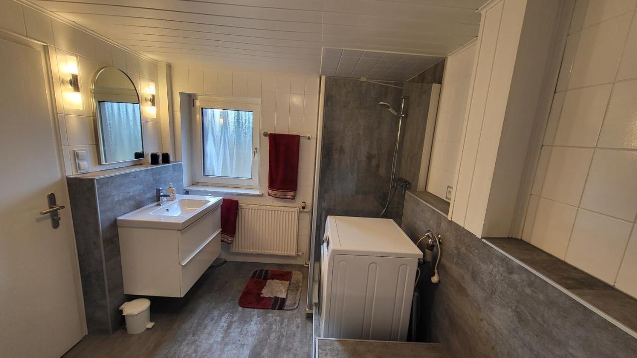Apartments Am Saalebogen Mit Gartenterrasse, Grillkamin, Freie Parkplaetze رودولشتات المظهر الخارجي الصورة