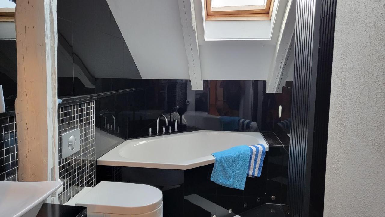 Apartments Am Saalebogen Mit Gartenterrasse, Grillkamin, Freie Parkplaetze رودولشتات المظهر الخارجي الصورة