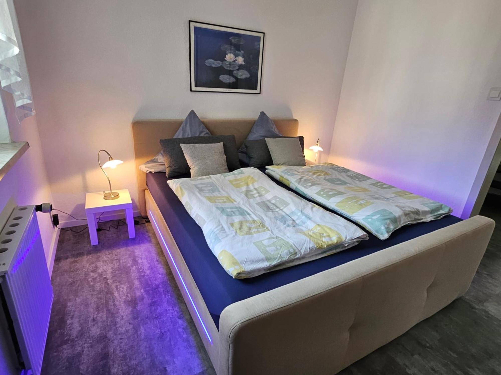 Apartments Am Saalebogen Mit Gartenterrasse, Grillkamin, Freie Parkplaetze رودولشتات المظهر الخارجي الصورة