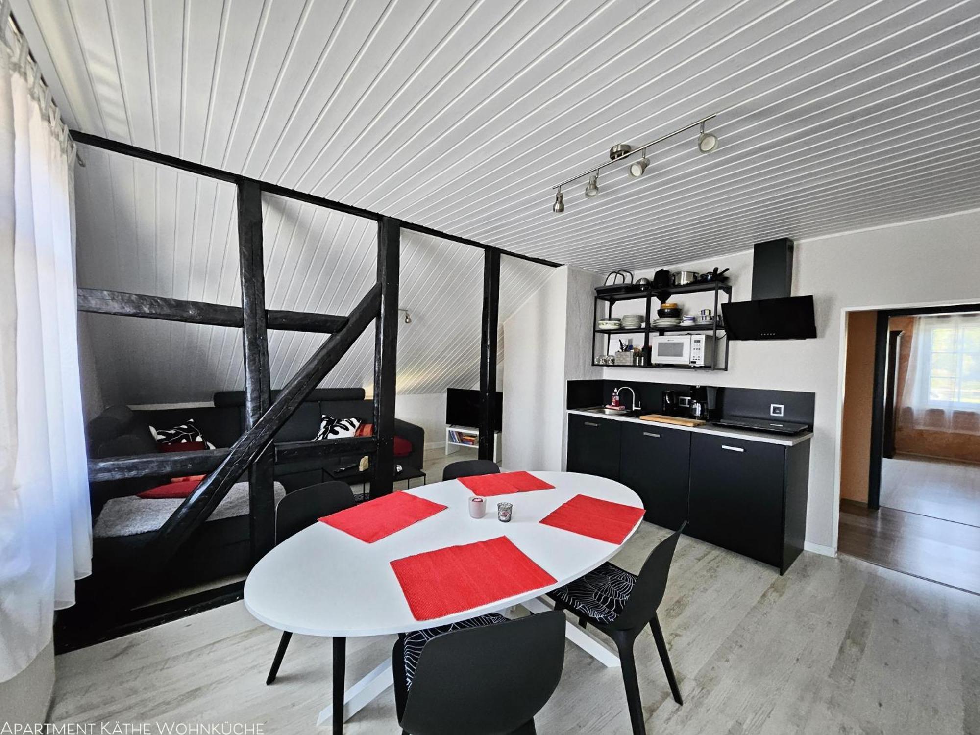 Apartments Am Saalebogen Mit Gartenterrasse, Grillkamin, Freie Parkplaetze رودولشتات المظهر الخارجي الصورة