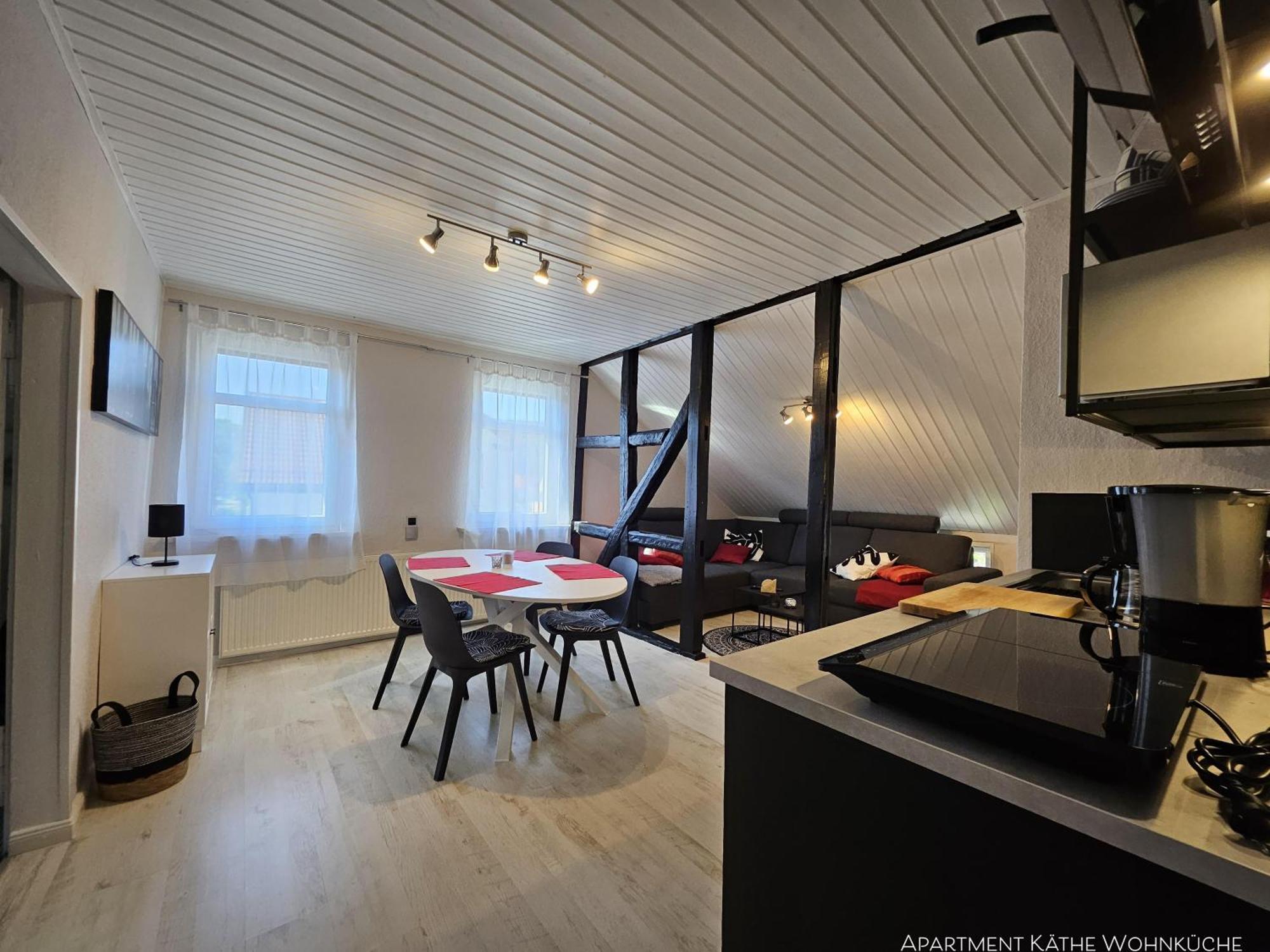 Apartments Am Saalebogen Mit Gartenterrasse, Grillkamin, Freie Parkplaetze رودولشتات المظهر الخارجي الصورة