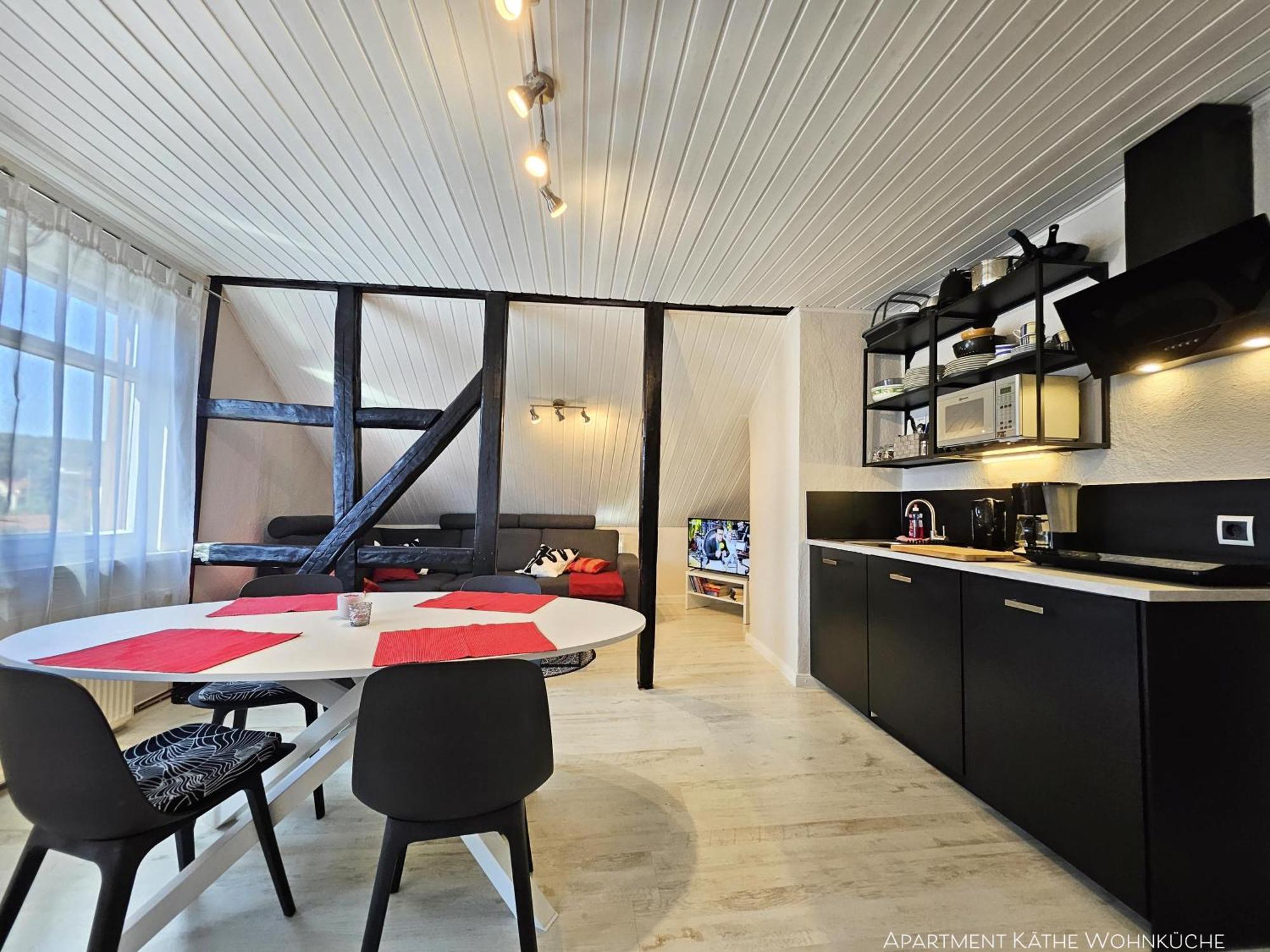 Apartments Am Saalebogen Mit Gartenterrasse, Grillkamin, Freie Parkplaetze رودولشتات المظهر الخارجي الصورة